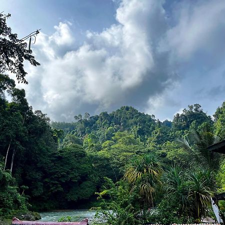 Charlys Little House Hotel Bukit Lawang Luaran gambar