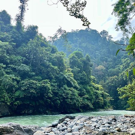 Charlys Little House Hotel Bukit Lawang Luaran gambar
