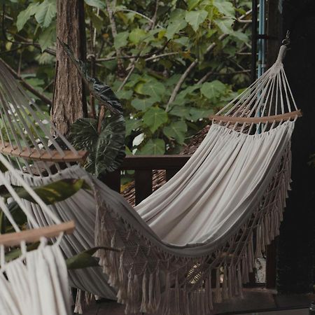 Charlys Little House Hotel Bukit Lawang Luaran gambar