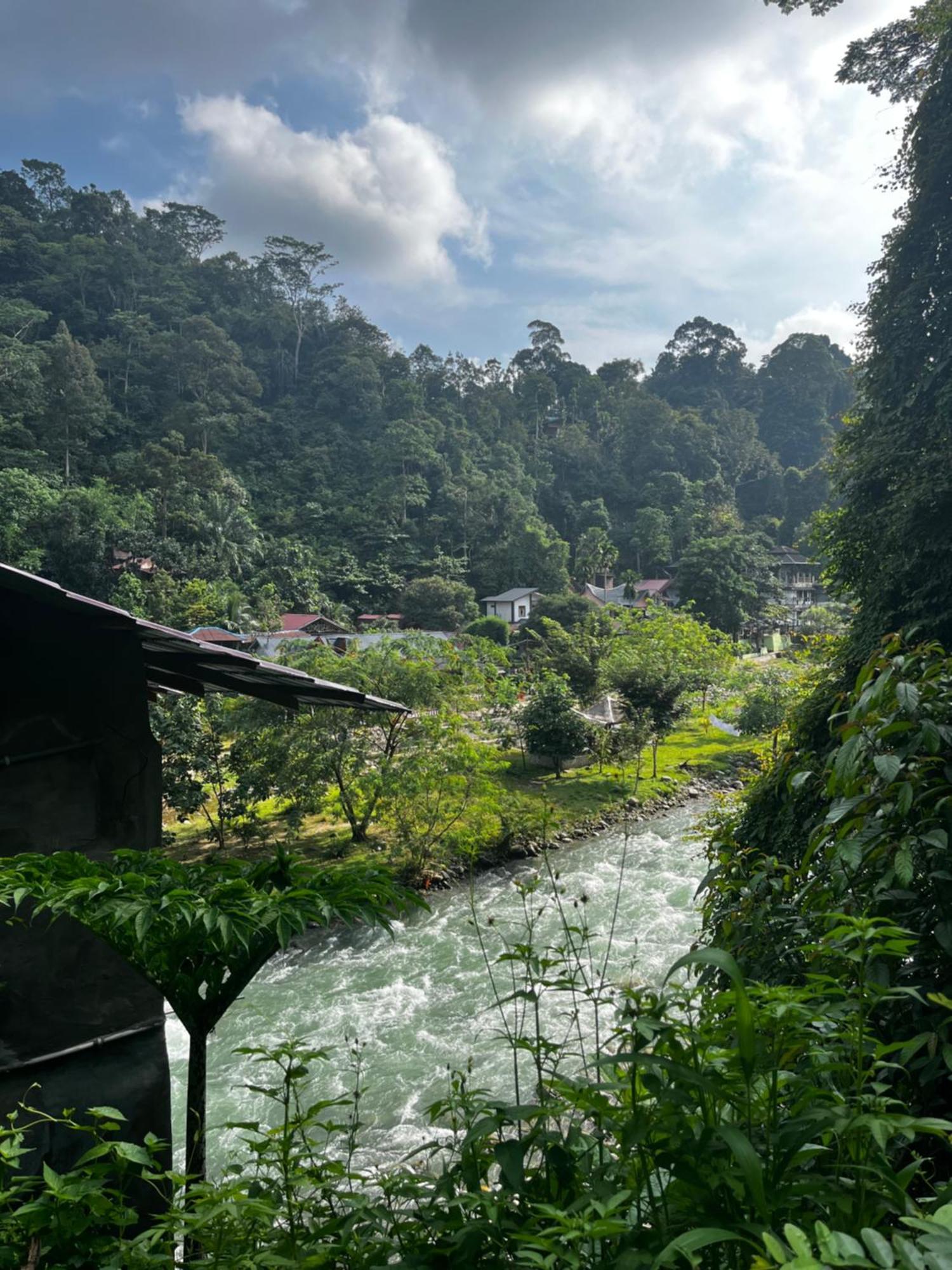 Charlys Little House Hotel Bukit Lawang Luaran gambar