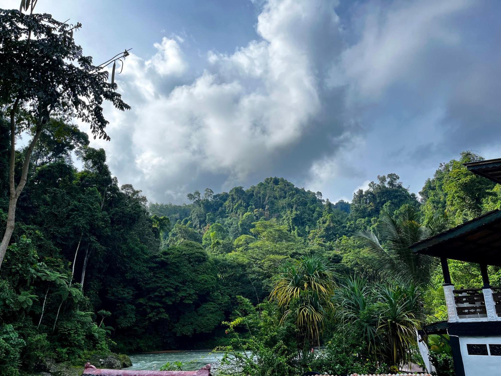 Charlys Little House Hotel Bukit Lawang Luaran gambar