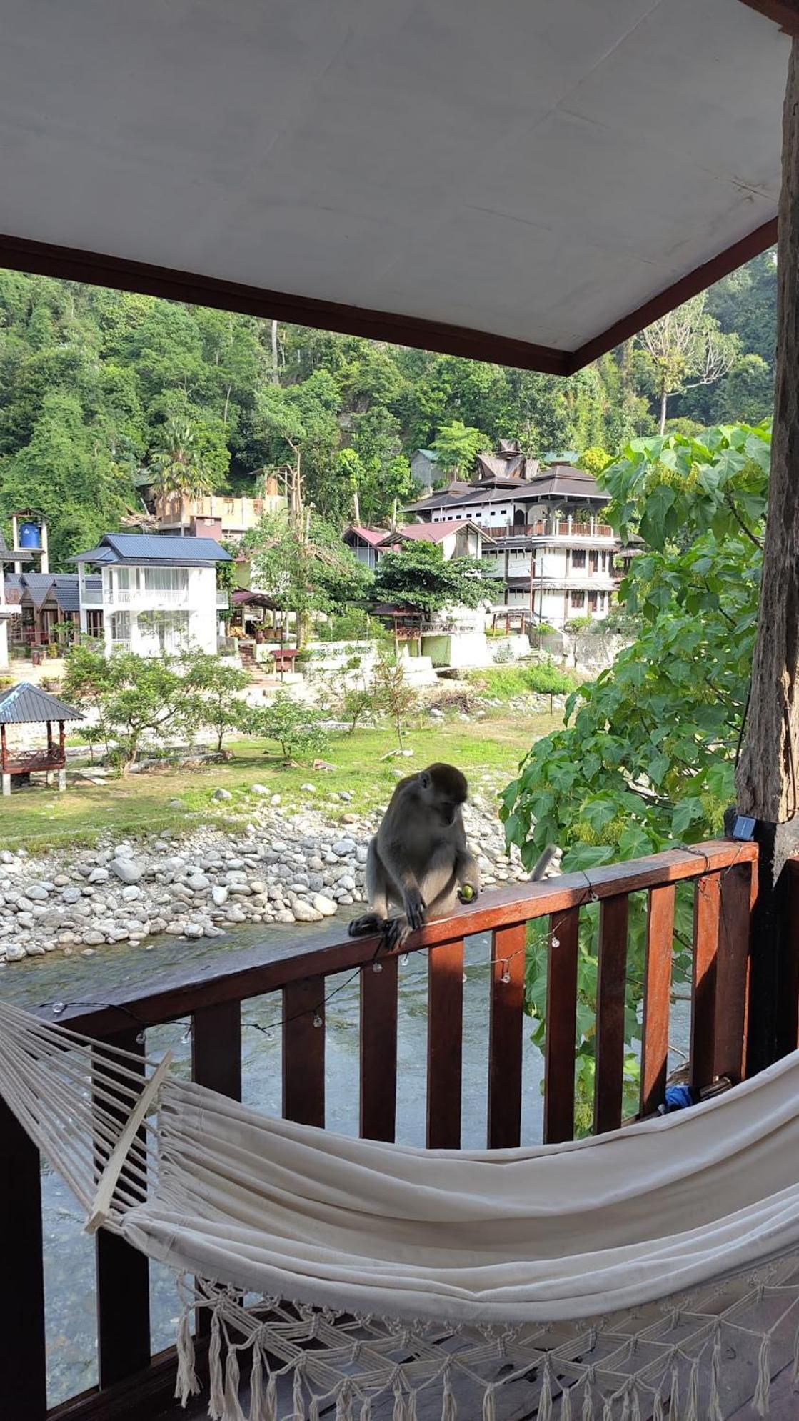 Charlys Little House Hotel Bukit Lawang Luaran gambar