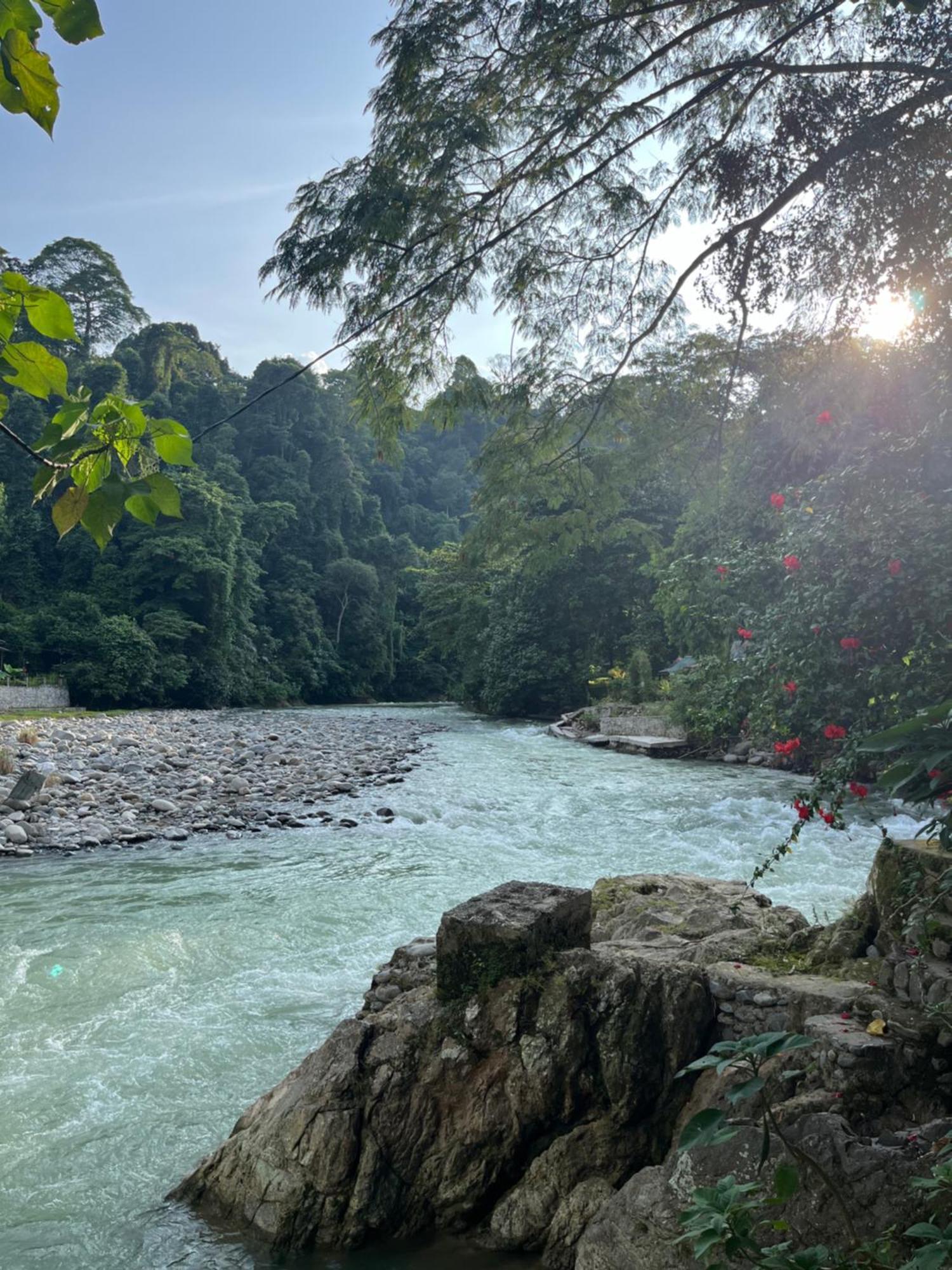 Charlys Little House Hotel Bukit Lawang Luaran gambar