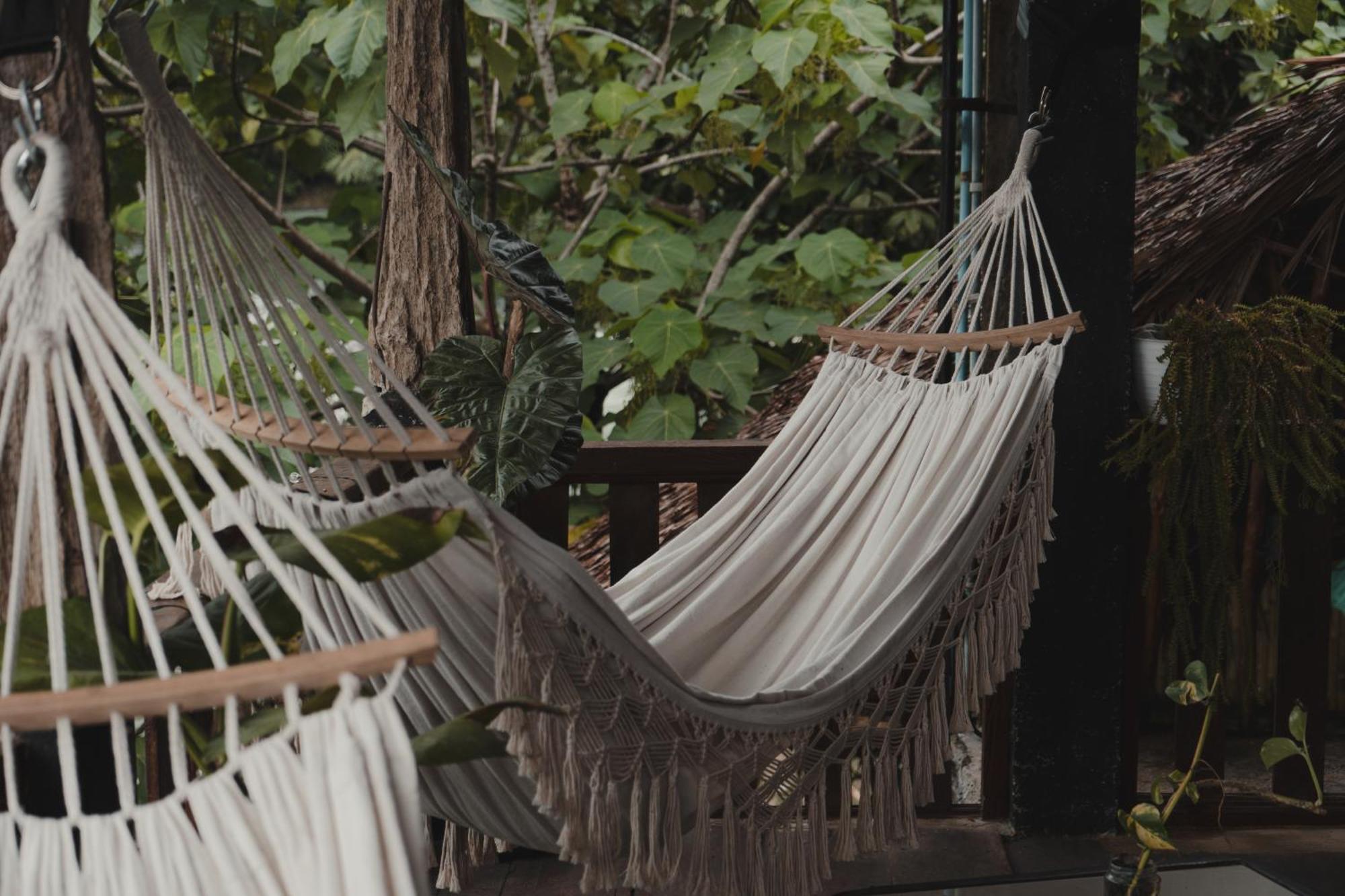 Charlys Little House Hotel Bukit Lawang Luaran gambar