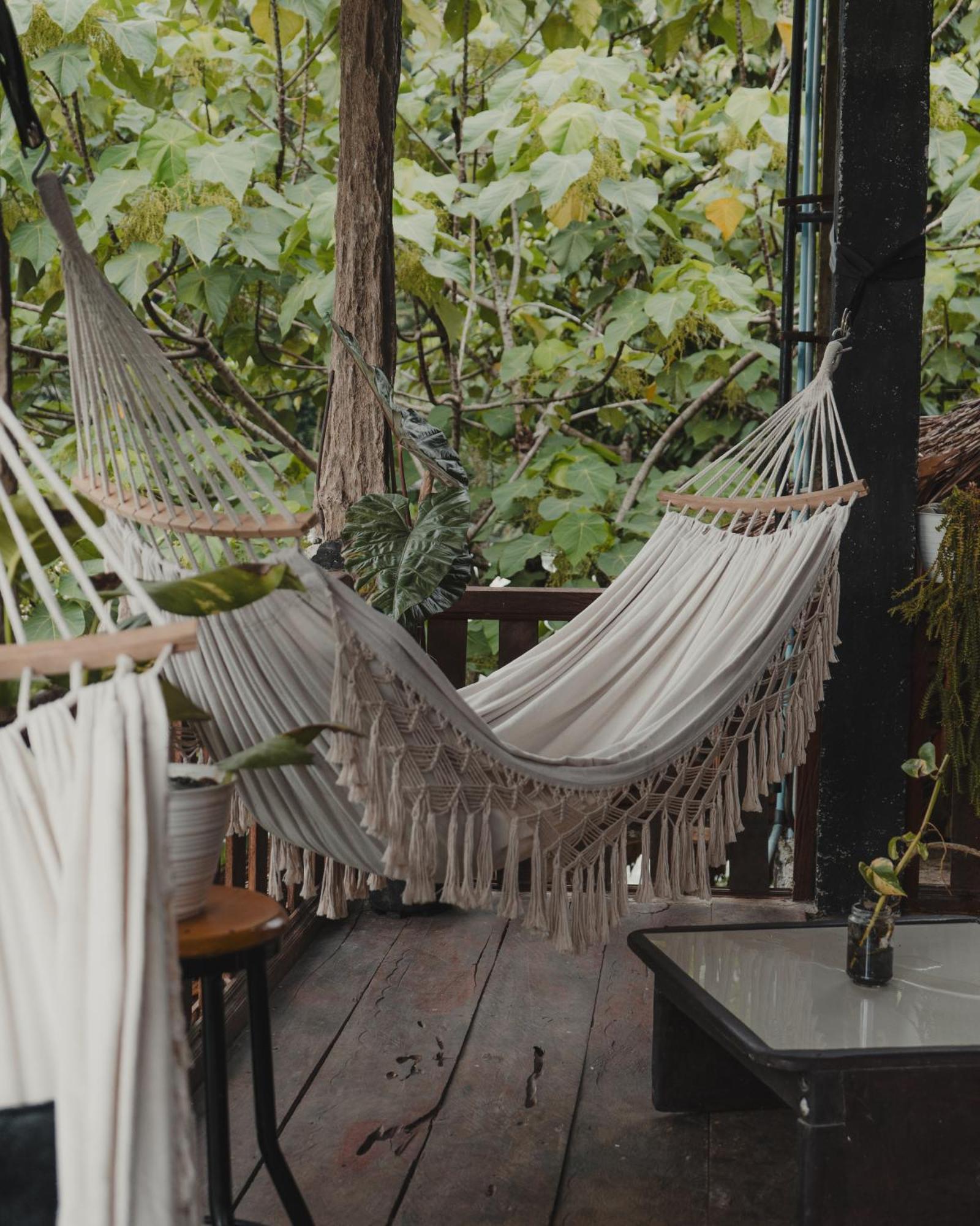 Charlys Little House Hotel Bukit Lawang Luaran gambar