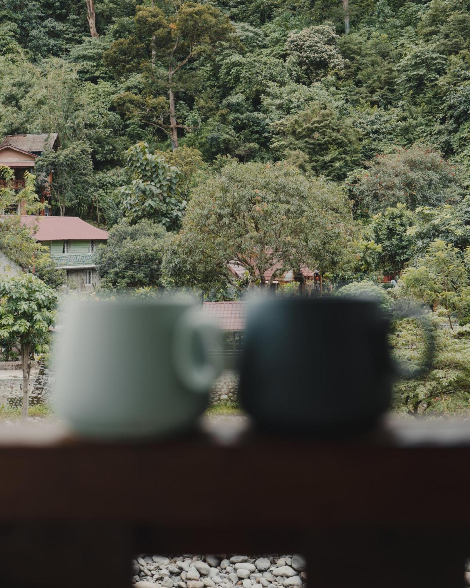 Charlys Little House Hotel Bukit Lawang Luaran gambar